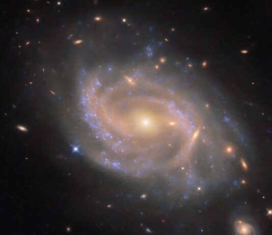 NASA Science: Hubble Observes Spiraling Galaxy A spiral galaxy with a disk made of several swirling arms. Patchy blue clouds of gas speckle the disk where stars are forming and lighting the gas around them. The core of the galaxy is large and shines brightly gold, while the spiral arms are a paler and faint reddish color. Neighboring galaxies – from small, elongated spots to larger swirling spirals – are visible across the black background.