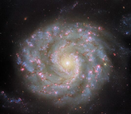 Hubble Captures Detailed View of Spiral Galaxy Arms A spiral galaxy viewed face-on, with a slightly oval-shaped disk. The galaxy’s center appears as a bright white spot surrounded by a golden glow. Two spiral arms extend out from the center, wrapping around the galaxy and broadening out to form the thick outer edge of the disk. Thin reddish strands of dust and bright pink spots follow the arms through the disk. Faint strands of stars extend from the tips of the spiral arms and out beyond the disk.