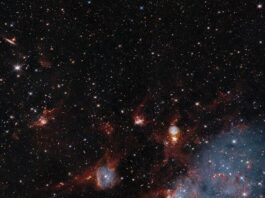 Hubble, Webb Telescopes Uncover Dual Views of Star Cluster Bluish clouds of gas are wound through with red-glowing lanes and filaments of dust.. The clouds contain cavities filled with stars and many more stars are visible in the background and scattered throughout the clouds. The clouds are concentrated in the upper right and the lower middle of the image. Tiny background galaxies are also sprinkled throughout the image.