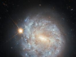 NASA’s Hubble Observes a Spiral Galaxy and Star A spiral galaxy seen face-on. Broken spiral arms made of blue patches of stars and thin strands of dark dust swirl around the galaxy’s center, forming a broad, circular disk. An extended circular halo surrounds the disk. At the disk’s center is a brightly glowing, pale-yellow, stubby, bar-shaped area. A bright star in our own galaxy, with long cross-shaped diffraction spikes, is visible atop the distant galaxy’s disk in the upper-left quadrant.
