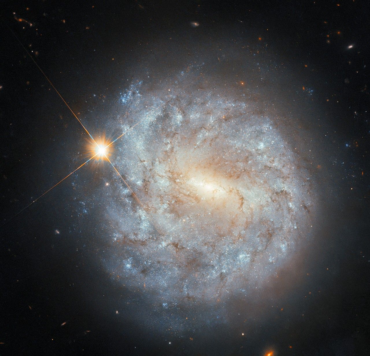 A spiral galaxy seen face-on. Broken spiral arms made of blue patches of stars and thin strands of dark dust swirl around the galaxy’s center, forming a broad, circular disk. An extended circular halo surrounds the disk. At the disk’s center is a brightly glowing, pale-yellow, stubby, bar-shaped area. A bright star in our own galaxy, with long cross-shaped diffraction spikes, is visible atop the distant galaxy’s disk in the upper-left quadrant.