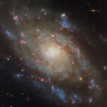 Hubble Observes Spiral Galaxy in Hydra Constellation – NASA Science A spiral galaxy. It’s noticeably bright around the central region of its disk, then dims somewhat toward the edge where there are fewer stars. Two spiral arms circle through the disk and emerge beyond its edge, around the galaxy’s sides. Many pink spots of new star formation, as well as dark reddish strands of dust, cover the galaxy. The arms contain some speckled, blue patches containing hot stars.