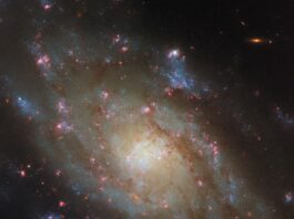 Hubble Observes Spiral Galaxy in Hydra Constellation – NASA Science A spiral galaxy. It’s noticeably bright around the central region of its disk, then dims somewhat toward the edge where there are fewer stars. Two spiral arms circle through the disk and emerge beyond its edge, around the galaxy’s sides. Many pink spots of new star formation, as well as dark reddish strands of dust, cover the galaxy. The arms contain some speckled, blue patches containing hot stars.