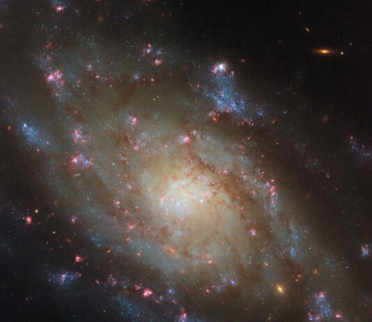 Hubble Observes Spiral Galaxy in Hydra Constellation – NASA Science A spiral galaxy. It’s noticeably bright around the central region of its disk, then dims somewhat toward the edge where there are fewer stars. Two spiral arms circle through the disk and emerge beyond its edge, around the galaxy’s sides. Many pink spots of new star formation, as well as dark reddish strands of dust, cover the galaxy. The arms contain some speckled, blue patches containing hot stars.