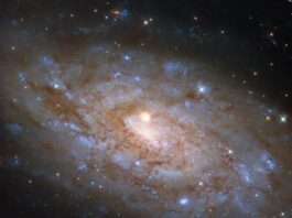 NASA’s Hubble Discovers Rare Cosmic Alignment A spiral galaxy, seen tilted at a slight angle, on a dark background of space. It glows softly from its center and out to its edge. The disk is a broad swirl of dark-reddish dust webs and sparkling blue patches where stars have formed. Atop the center of the galaxy is a foreground star that appears very large and bright with four diffraction spikes emanating from it. The star is relatively close to Earth compared to the galaxy.