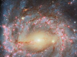 NASA Science Captures Majestic Spiral Through Hubble’s Lens Hubble Images a Grand Spiral - NASA Science