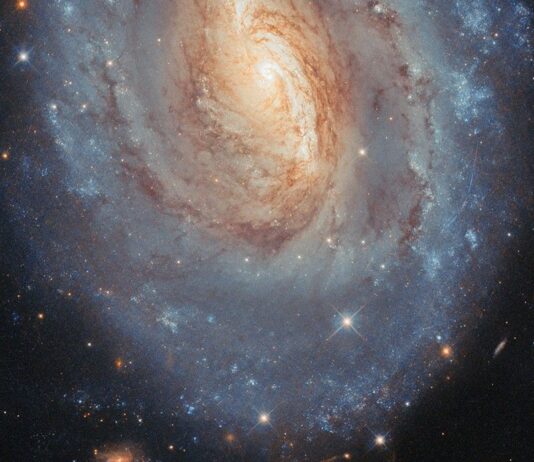 NASA’s Hubble Examines Stellar Ages in Vibrant Galaxy An oval-shaped spiral galaxy. Only the center and lower half of the galaxy is in frame. Its center is primarily golden in color with a white glowing core, while its thick spiral arms are mostly blue, particularly at the outskirts; these colors merge in between. Dark lanes of dust swirl through the center, blocking some of the galaxy’s light. Stars and distant galaxies are visible around the edges on a black background.