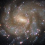 NASA Hubble Reveals Stunning Celestial Display A spiral galaxy seen directly on. It glows strongly at its center and has a short horizontal bar. Two spiral arms extend from this bar, but they are broad and irregularly shaped. The galaxy’s spiral arms hold tiny blue dots — young stars — and glowing pink clouds — star-forming nebulae. The arms break apart into many strands at the edge of the disk. Beyond the galaxy is a dark background.