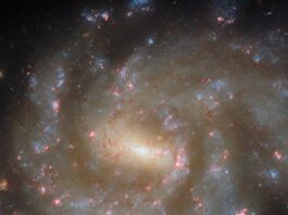 NASA Hubble Reveals Stunning Celestial Display A spiral galaxy seen directly on. It glows strongly at its center and has a short horizontal bar. Two spiral arms extend from this bar, but they are broad and irregularly shaped. The galaxy’s spiral arms hold tiny blue dots — young stars — and glowing pink clouds — star-forming nebulae. The arms break apart into many strands at the edge of the disk. Beyond the galaxy is a dark background.