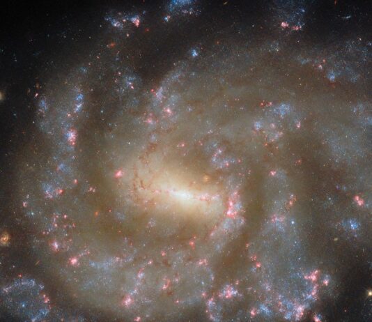 NASA Hubble Reveals Stunning Celestial Display A spiral galaxy seen directly on. It glows strongly at its center and has a short horizontal bar. Two spiral arms extend from this bar, but they are broad and irregularly shaped. The galaxy’s spiral arms hold tiny blue dots — young stars — and glowing pink clouds — star-forming nebulae. The arms break apart into many strands at the edge of the disk. Beyond the galaxy is a dark background.