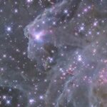 Hubble Reveals Sparkling Image of Sh2-284 – NASA Science Against the dark background of space, pale, misty clouds of gas and dust are liberally sprinkled with blue and pink stars. Some bright pink patches of clustered stars are visible, as are dark brown knots of dust.