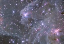 Hubble Reveals Sparkling Image of Sh2-284 – NASA Science Against the dark background of space, pale, misty clouds of gas and dust are liberally sprinkled with blue and pink stars. Some bright pink patches of clustered stars are visible, as are dark brown knots of dust.