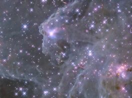 Hubble Reveals Sparkling Image of Sh2-284 – NASA Science Against the dark background of space, pale, misty clouds of gas and dust are liberally sprinkled with blue and pink stars. Some bright pink patches of clustered stars are visible, as are dark brown knots of dust.