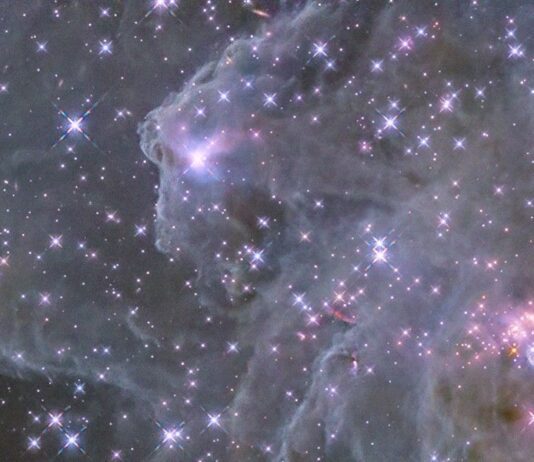 Hubble Reveals Sparkling Image of Sh2-284 – NASA Science Against the dark background of space, pale, misty clouds of gas and dust are liberally sprinkled with blue and pink stars. Some bright pink patches of clustered stars are visible, as are dark brown knots of dust.