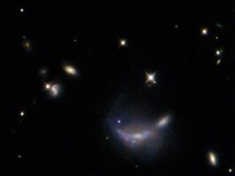 NASA’s Hubble Telescope Observes a Supernova Event In the exact center a supernova is visible as a small but bright blue dot. It lies atop the outer disk of a hazy-looking galaxy, which has a somewhat warped shape. Around this are a number of minor galaxies visible as glowing disks, and some points of light that are stars near to us, on a black background. A few bright stars hold X-shaped spikes that are optical artefacts from the telescope.
