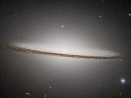 NASA Science Reveals Fresh Hubble Image of Popular Galaxy The Sombrero Galaxy is an oblong, pale white disk with a glowing core. It appears nearly edge-on but slants slightly in the front, presenting a slight top-down view of the inner region of the galaxy and its bright core. The outer disk is darker with shades of brown and black. Different colored distant galaxies and various stars are speckled among the black background of space surrounding the galaxy.
