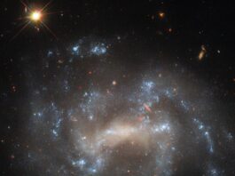 Hubble Detects Possible Imposter in Spiral Galaxy – NASA Science A spiral galaxy seen close to face-on. The center of its disk is a bright, pale yellowish, oval shape. Spiral arms extend from either side of the oval through the disk on irregular paths. The arms hold bright bluish-white patches of stars that mark their extent. Distant background galaxies appear as small orangish blobs around the spiral galaxy. In the top-left corner, a nearby star shines brightly, diffraction spikes are radiating from it.