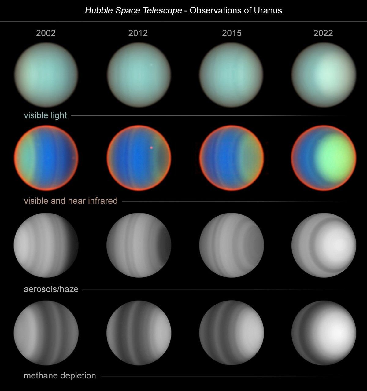 hubble uranus full stsci 01jq4xjz0znfhywfkpm6a6wj42.jpg Graphic titled “Hubble Space Telescope – Observations of Uranus,” with 16 images of Uranus, arranged in a 4 by 4 grid showing changes in appearance of Uranus as observed by Hubble between 2002 and 2022. Columns are labeled with observation year, from left to right: 2002; 2012; 2015; and 2022. Rows are labeled from top to bottom: visible light; visible and near infrared; aerosols/haze; and methane depletion. In the visible light images in the top row, Uranus appears blue-green with faint vertical bends of slightly lighter or darker color. In the visible and near infrared images in the second row, Uranus is very colorful, with deep neon blue to neon green bands within an orange-red glow that outlines the edge of the planet. In the two bottom rows of images, Uranus appears in grayscale, with vertical bands ranging from dark gray to almost white. All four rows of images show changes from observation to observation (left to right). For a given year, all four images in the column show similar banding patterns.