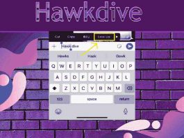 How To Use iPhone Built-in Dictionary?