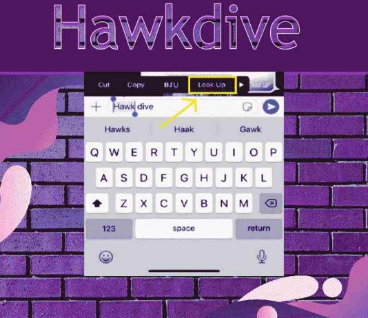 How To Use iPhone Built-in Dictionary?