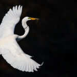 IBM Research Predicts AI Boost for Banks’ Finances by 2025 IBM Study: Gen AI Will Elevate Financial Performance of Banks in 2025