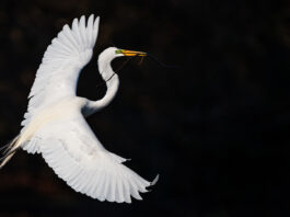 IBM Research Predicts AI Boost for Banks’ Finances by 2025 IBM Study: Gen AI Will Elevate Financial Performance of Banks in 2025