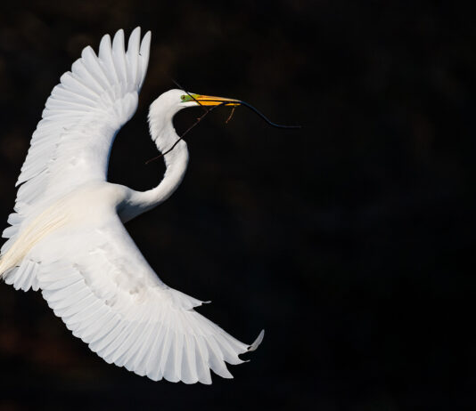 IBM Research Predicts AI Boost for Banks’ Finances by 2025 IBM Study: Gen AI Will Elevate Financial Performance of Banks in 2025