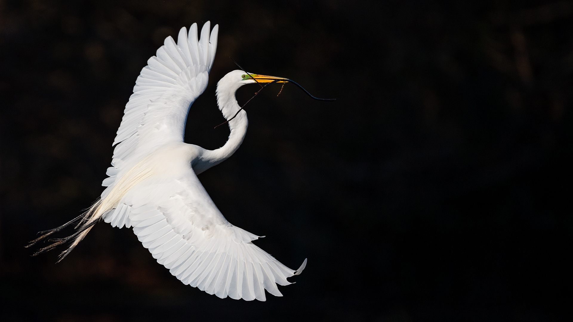 ibv banks social.jpg IBM Study: Gen AI Will Elevate Financial Performance of Banks in 2025