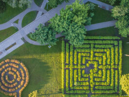 Insurance Executives Embrace AI; Customers Show Hesitation, IBM Finds New IBM study: Insurance Leaders Agree That rapid Adoption of Generative AI is Necessary to Compete, but Insurance Customers Express Reservations