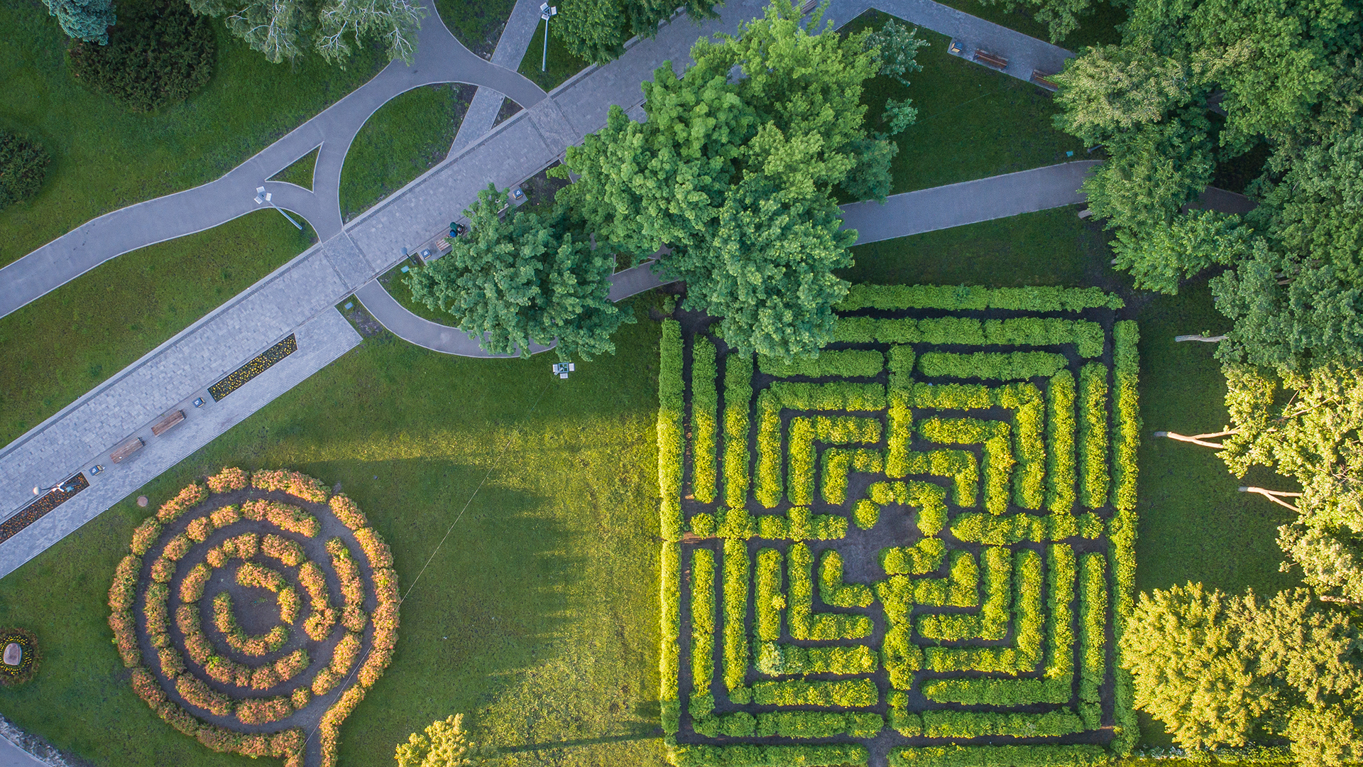 New IBM study: Insurance Leaders Agree That rapid Adoption of Generative AI is Necessary to Compete, but Insurance Customers Express Reservations