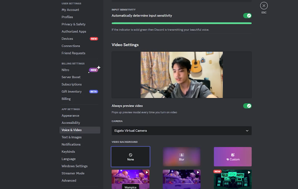 Working with Discord