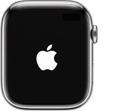 Quick Ways To Turn Off Apple Watch