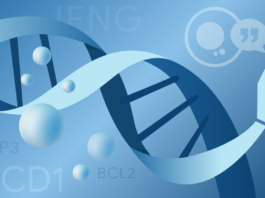 Introducing C2S-Scale: Enabling Dialogue Between Researchers and Cells Our new C2S-Scale LLM helps researchers have conversations with cells.