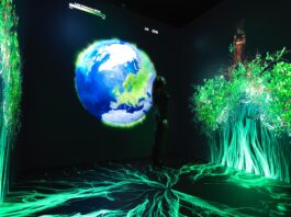 Media Preview of NASA’s New Earth Information Center A person stands in a dark room surrounded by images of green leaves and a large depiction of the Earth.