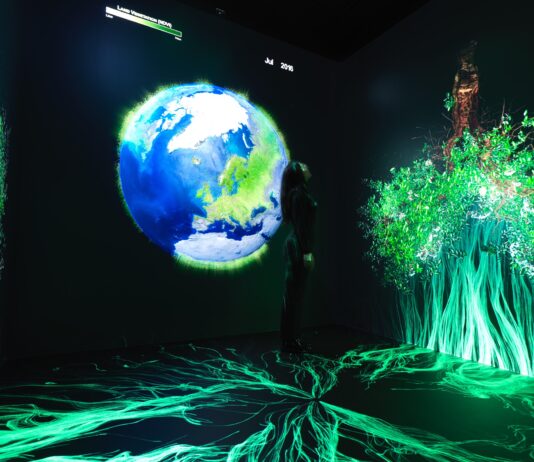 Media Preview of NASA’s New Earth Information Center A person stands in a dark room surrounded by images of green leaves and a large depiction of the Earth.