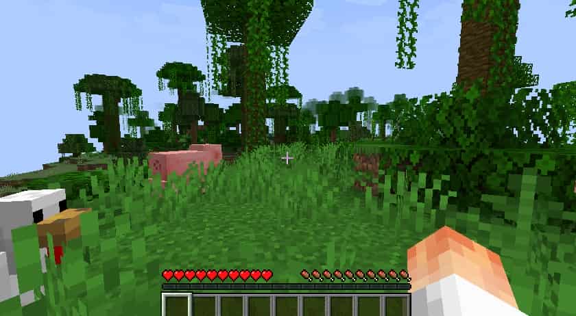 Play Minecraft With Friends