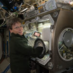 NASA Station Science Highlights: November 8, 2024 An astronaut works with a glovebox experiment aboard the International Space Station. She stands in front of the enclosed equipment, reaching her hands into glove ports to manipulate materials inside the chamber.