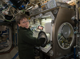 NASA Station Science Highlights: November 8, 2024 An astronaut works with a glovebox experiment aboard the International Space Station. She stands in front of the enclosed equipment, reaching her hands into glove ports to manipulate materials inside the chamber.