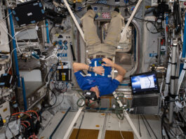 NASA Achieves Optimal Performance in Zero Gravity Saint-Jacques is wearing a blue polo shirt with a CSA logo, khaki pants, and black socks. He is suspended upside down by four white straps connected to a harness around his middle and has a virtual reality headset on his head and a small black controller in his right hand. An open laptop floats next to him.