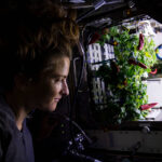 NASA Explores Space Horticulture Astronaut Kayla Barron checks out chile peppers growing in the station