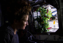 NASA Explores Space Horticulture Astronaut Kayla Barron checks out chile peppers growing in the station