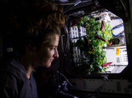 NASA Explores Space Horticulture Astronaut Kayla Barron checks out chile peppers growing in the station