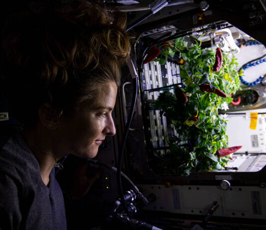 NASA Explores Space Horticulture Astronaut Kayla Barron checks out chile peppers growing in the station