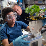 NASA Celebrates 25 Years of Breakthroughs on International Space Station Jessica Watkins wears safety goggles and blue gloves while holding a plant growth unit with leafy greens and a large tangle of roots exposed. Bob Hines, in a black shirt, looks on from the background inside the space station laboratory.