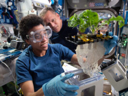 NASA Celebrates 25 Years of Breakthroughs on International Space Station Jessica Watkins wears safety goggles and blue gloves while holding a plant growth unit with leafy greens and a large tangle of roots exposed. Bob Hines, in a black shirt, looks on from the background inside the space station laboratory.