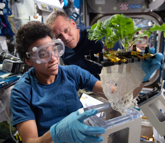 NASA Celebrates 25 Years of Breakthroughs on International Space Station Jessica Watkins wears safety goggles and blue gloves while holding a plant growth unit with leafy greens and a large tangle of roots exposed. Bob Hines, in a black shirt, looks on from the background inside the space station laboratory.