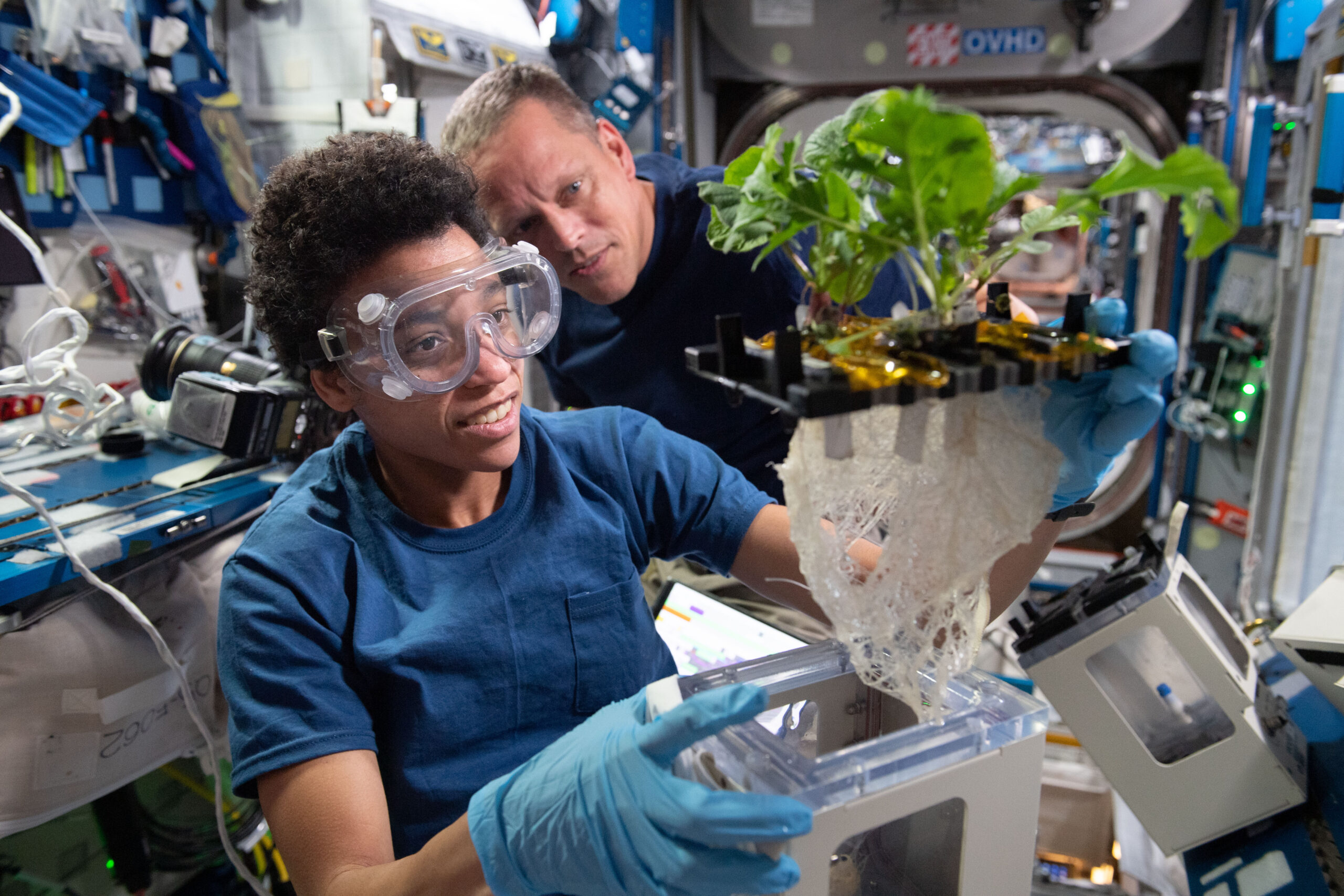 Jessica Watkins wears safety goggles and blue gloves while holding a plant growth unit with leafy greens and a large tangle of roots exposed. Bob Hines, in a black shirt, looks on from the background inside the space station laboratory.