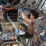 NASA’s Leading Science Stories: January 24, 2025 An astronaut floats aboard the International Space Station while conducting an experiment.