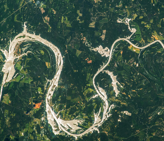 NASA Highlights Sunglint Phenomenon on Alabama River The silvery waters of the Alabama River meander across the image, contrasted against surrounding land in shades of green. At various points, the water extends outward from the borders of the river.