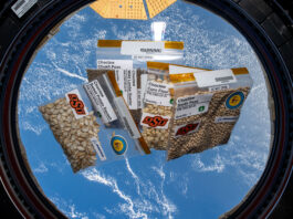 Native American Seeds Sent to Space Station by NASA Five plastic bags of different seeds are inside the cupola of the International Space Station, Earth can be seen through the cupola window.